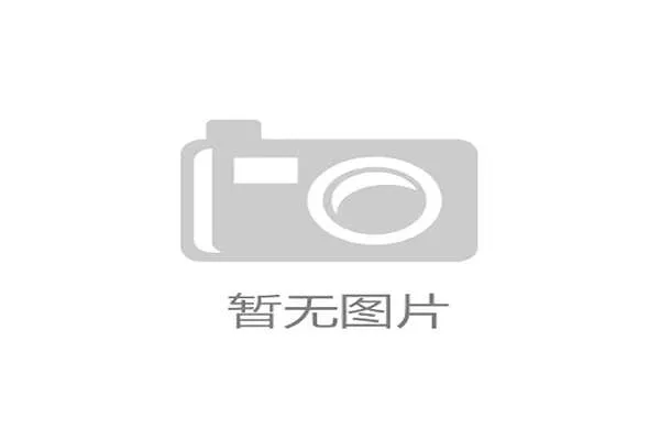 《两人合同十二月到期》：如何让合作关系更加稳健与高效？